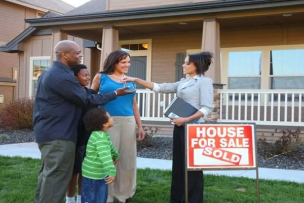 Real Estate & Property